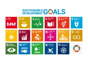 SDGs